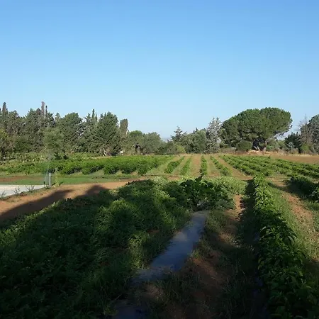 Azienda Agricola I Peperoncini Farm stay Alghero